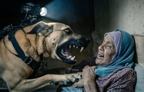 شاهد/كلب اسرائيلي ينهش امرأة فلسطينية اثناء نومها بوحشية
