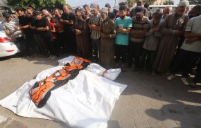 ارتفاع عدد شهداء غزة إلى 37834 والإصابات إلى 86858 