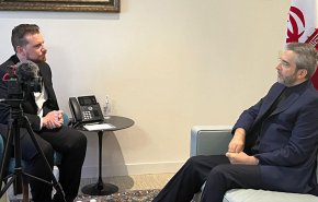 باقري: 'إسرائيل' تخسر أمام المقاومة ولن يعود الصهاينة إلى توازن ما قبل 7 أكتوبر
