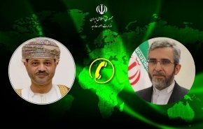 باقري: إيران ستستخدم حقها المشروع في الرد على الكيان الصهيوني بحزم
