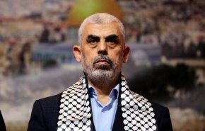 بالفيديو..انجازات قائد حركة المقاومة الاسلامية 