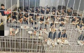 الأمم المتحدة: يجب 'المساءلة' حول اساءة معاملة بسجون الاحتلال