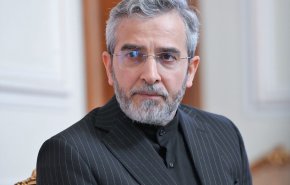 باقري: انتخاب السنوار يؤشر الى الامل والانسجام والقوة في حماس
