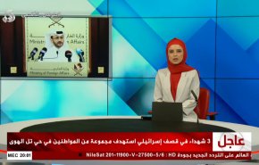 نشرة الاخبار من قناة العالم الساعة 13:00 بتوقيت غرينتش 16-08-2024 