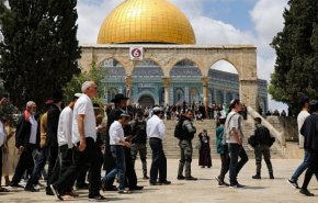 بالفيديو..مستوطنون يقتحمون المسجد الأقصى بحماية قوات الاحتلال