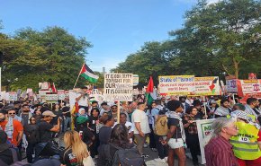 نشطاء يطالبون الحزب الديمقراطي دعم القضية الفلسطينية