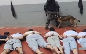 شاهد.. فيديو مسرب يكشف فظائع تعرض لها أسرى فلسطينيون بسجن مجدو
