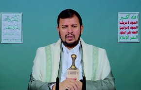 السيد الحوثي: استهدفنا 196 سفينة منذ بدء الحرب وعملياتنا مستمرة