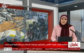 نشرة الاخبار من قناة العالم الساعة 05:00 بتوقيت غرينتش 30-10-2024 