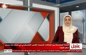 
نشرة الاخبار من قناة العالم الساعة 05:00 بتوقيت غرينتش 02-11-2024 