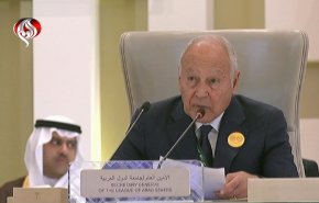 ابوالغيط ينتقد عجز المجتمع الدولي تجاه جرائم 'اسرائيل'
