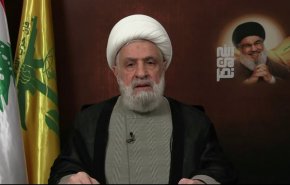 الشيخ قاسم: لا نريد الحرب ولكن نريد مساندة غزة وجاهزون للحرب