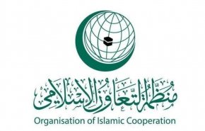 'التعاون الإسلامي' تدين استمرار مجازر الاحتلال وجرائمه في  غزة

