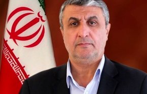 اسلامي: الطاقة النووية هي اقوى مجال للتعاون بين ايران وروسيا