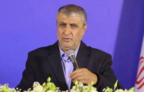 اسلامي: ضخ 70 مليار كيلوواط ساعة كهرباء ذرية الى شبكة التوزيع بالبلاد