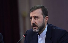 غريب آبادي: الدول المتشدقة بحقوق الإنسان انتهكت حقوق الشعب الإيراني