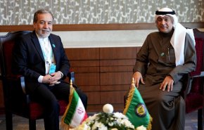 عراقجي: ليصدح العالم الإسلامي بصوت موحد في دعم حقوق الشعب الفلسطيني

