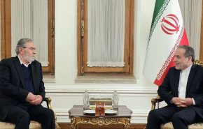 عراقجي: الاحتلال اضطر للاستسلام وقبول الهدنة مع المقاومة التي سعى للقضاء عليها