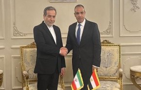 بالفيديو.. محادثات بين وزيري الخارجية الايراني والمصري
