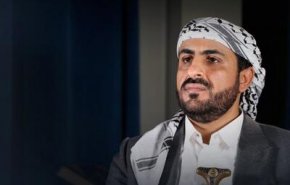 عبد السلام: الغارات الأمريكية عودة لعسكرة البحر الأحمر وتهديد فعلي للملاحة الدولية
