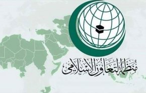 منظمة التعاون الإسلامي تطالب مجلس الأمن بوقف العدوان الإسرائيلي على غزة