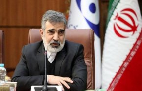 بهروز كمالوندي: استخدام آلية الزناد تؤدي لرد فعل شديد من قبل طهران