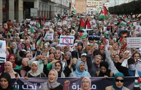 للجمعة 72.. آلاف المغاربة ينظمون وقفات تضامنية مع غزة