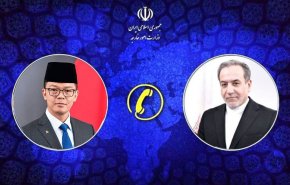 عراقجي يؤكد ضرورة تحرك الدول الإسلامية لوقف الجرائم الإسرائيلية
