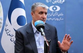 اسلامي: سنحمي بكل قوة أسس الصناعة النووية للبلاد
