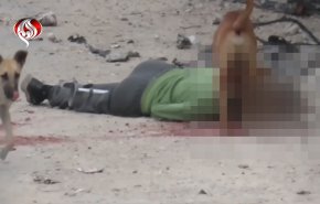 جيش الاحتلال ينتقم من جثامين الشهداء ويتركها للكلاب 