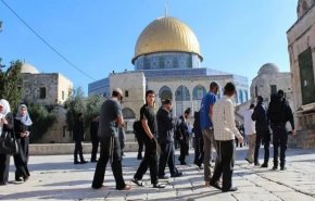 تصاعد الاقتحامات للمسجد الأقصى وحماس تدعو للحشد والتصدي