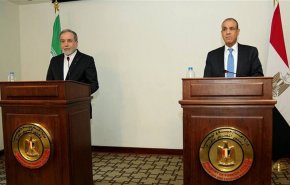 إيران تؤكد استمرارها في المفاوضات حتى تأمين مصالحها+ فيديو