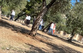 مستوطنون يقتحمون المسجد الأقصى
