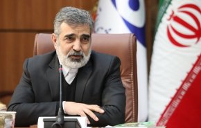 كمالوندي: الصناعة النووية متجذرة في ايران ولن تتوقف
