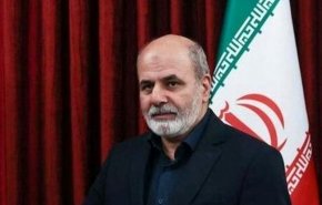 أحمديان.. أمن الخليج الفارسي يتطلب تعاوناً إقليمياً فعالاً