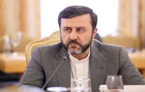 مساعد وزير الخارجية: وفد من الوكالة الدولية يزور إيران قريبا