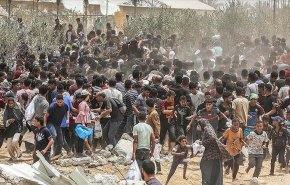 الأمم المتحدة: استشهاد 294 فلسطينياً في نقاط توزيع المساعدات بغزة