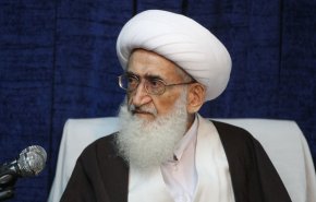 آية الله نوري همداني: فظائع غزة تتنافى مع المبادئ الإنسانية كافة