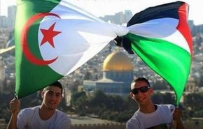 الجزائر تدين بشدة خطة إعادة احتلال غزة وتهجير سكانها
