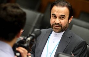 المحادثات بين ممثلي إيران والوكالة الذرية حققت تقدما
