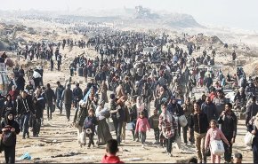 270 ألف فلسطيني أُجبروا على النزوح القسري من مدينة غزة