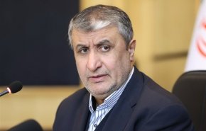 إسلامي: البرنامج النووي الإيراني شفاف تماماً ولن نتراجع