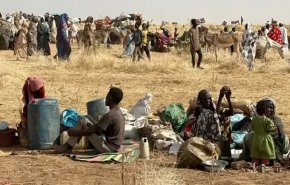 تقرير أممي: انتشار المجاعة في الفاشر وكادوغلي بالسودان