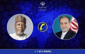 عراقجي يؤكد أهمية تعزيز التعاون بين إيران ونيجيريا
