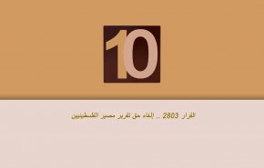 القرار 2803.. إلغاء حق تقرير مصير الفلسطينيين