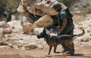  27 جنديا لجيش الاحتلال أصيبوا بداء الكلب في قاعدة عسكرية بالضفة الغربية
