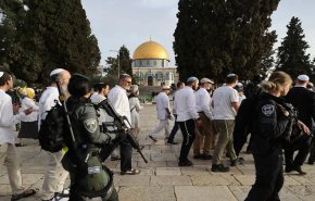 الاحتلال يستبيح القدس: اقتحامات للأقصى ومخططات تهجير ممنهجة