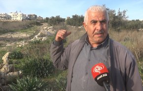 صراع البقاء غرب جنين: قلع مئات الأشجار ومصادرة الأراضي