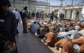 تقرير حقوقي: ارتفاع غير مسبوق في عدد الشهداء الأسرى الفلسطينيين