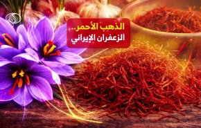 الذهب الأحمر.. الزعفران الإيراني